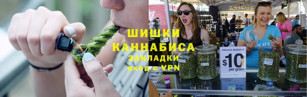 spice Богородицк