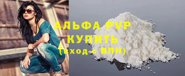 spice Богородицк