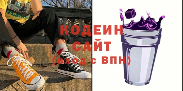 spice Богородицк