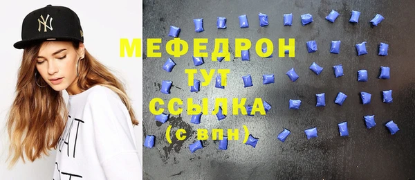 spice Богородицк