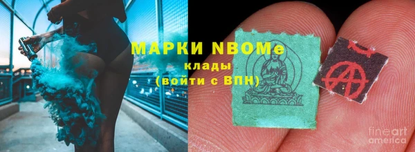 spice Богородицк