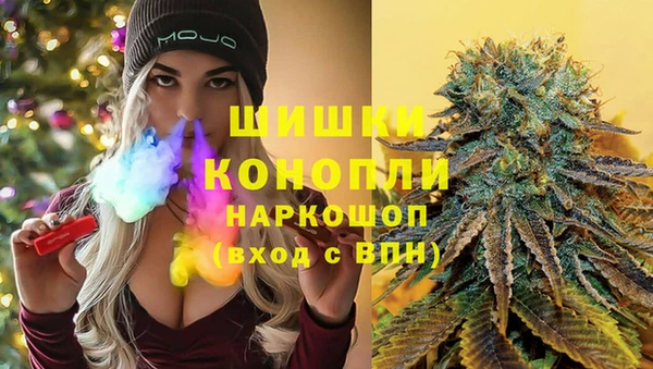 spice Богородицк
