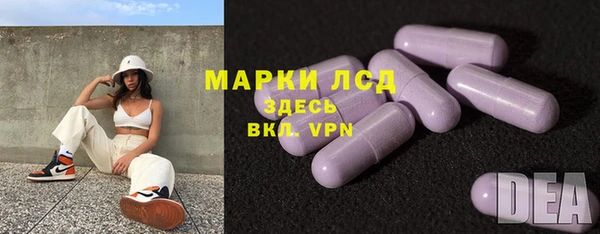 spice Богородицк