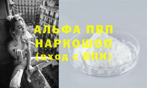 spice Богородицк