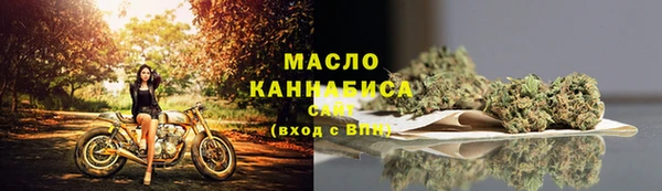 spice Богородицк