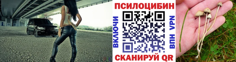 Псилоцибиновые грибы Psilocybe  Дюртюли 
